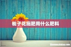 栀子花施肥用什么肥料