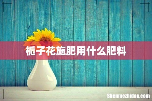 栀子花施肥用什么肥料