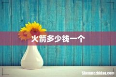 火箭多少钱一个