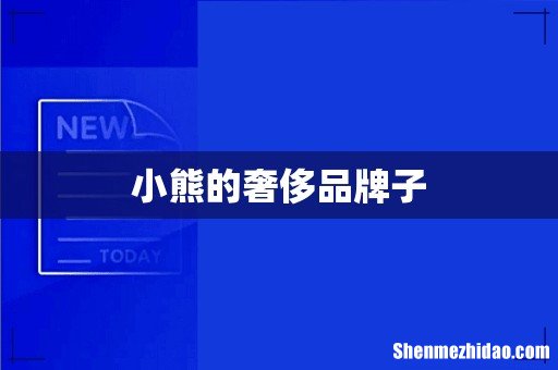 小熊的奢侈品牌子