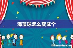 海藻球怎么变成个