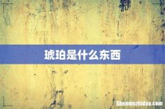 琥珀是什么东西