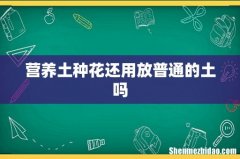 营养土种花还用放普通的土吗