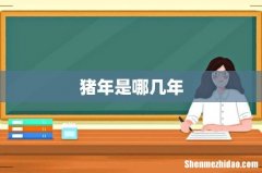猪年是哪几年