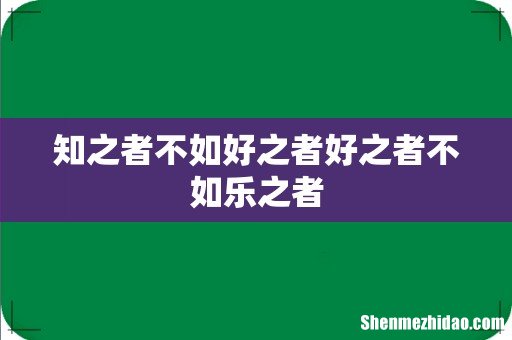 知之者不如好之者好之者不如乐之者