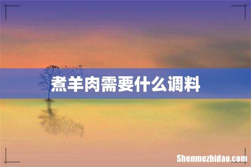 煮羊肉需要什么调料