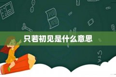 只若初见是什么意思