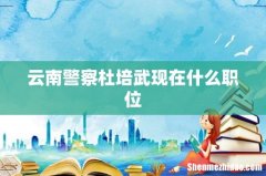 云南警察杜培武现在什么职位