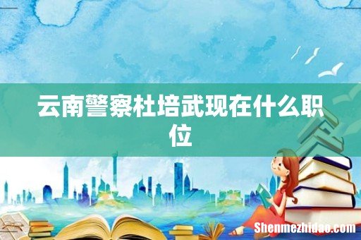 云南警察杜培武现在什么职位