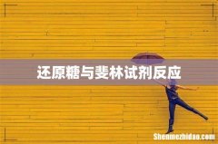 还原糖与斐林试剂反应