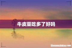 牛皮菜吃多了好吗