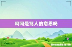 呵呵是骂人的意思吗