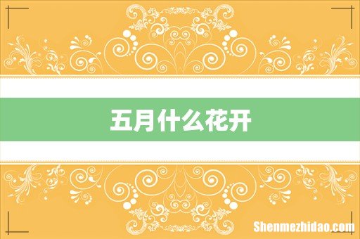 五月什么花开