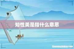 知性美是指什么意思