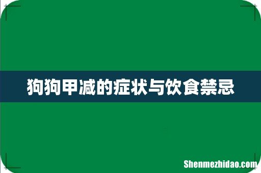狗狗甲减的症状与饮食禁忌