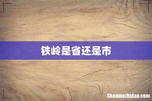 铁岭是省还是市