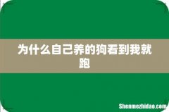 为什么自己养的狗看到我就跑