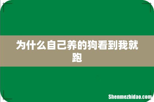 为什么自己养的狗看到我就跑