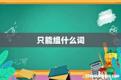 只能组什么词