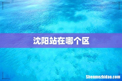 沈阳站在哪个区