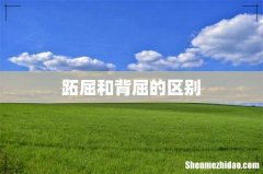 跖屈和背屈的区别
