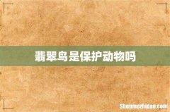 翡翠鸟是保护动物吗