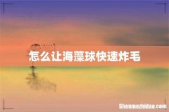 怎么让海藻球快速炸毛
