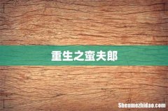 重生之蛮夫郎