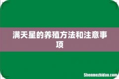 满天星的养殖方法和注意事项