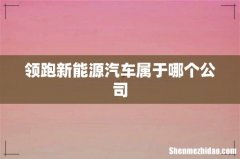 领跑新能源汽车属于哪个公司