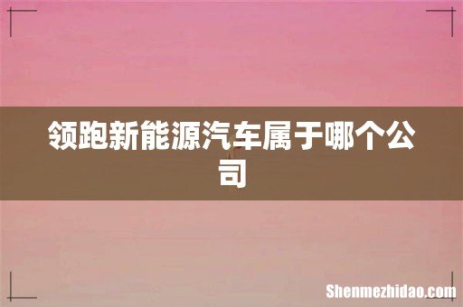 领跑新能源汽车属于哪个公司