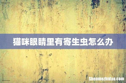 猫咪眼睛里有寄生虫怎么办