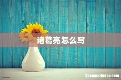 诸葛亮怎么写