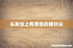 头发丝上有黑色的像针尖