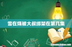 雪在烧被大叔绑架在第几集