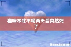 猫咪不吃不喝两天后突然死了