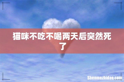 猫咪不吃不喝两天后突然死了