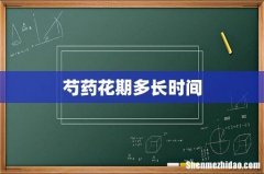 芍药花期多长时间