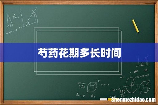 芍药花期多长时间