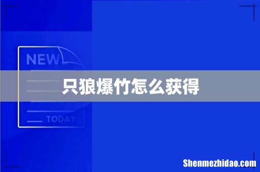 只狼爆竹怎么获得