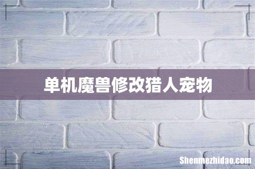 单机魔兽修改猎人宠物