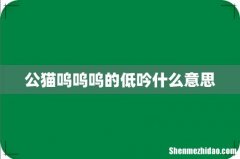 公猫呜呜呜的低吟什么意思