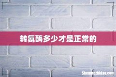 转氨酶多少才是正常的