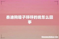 泰迪狗嗓子呼呼的响怎么回事