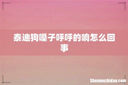 泰迪狗嗓子呼呼的响怎么回事