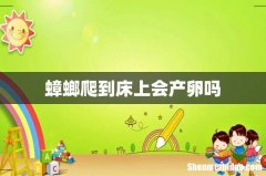 蟑螂爬到床上会产卵吗