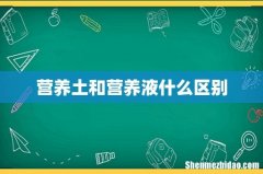 营养土和营养液什么区别