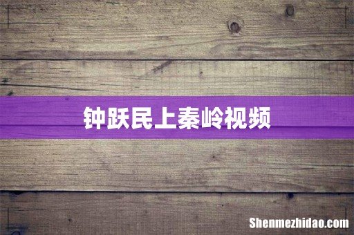钟跃民上秦岭视频