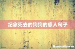 纪念死去的狗狗的感人句子