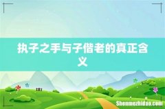 执子之手与子偕老的真正含义